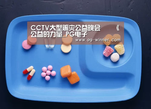 CCTV大型赈灾公益晚会――《公益的力量_PG电子
