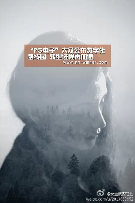 “PG电子”大众公布数字化路线图 转型进程再加速(图2) PG麻将