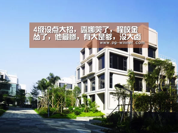 4级没点大招,露娜哭了,程咬金怂了,他最惨,有大是爹,没大卤蛋都打不过【PG麻将】(图2) PG虎机