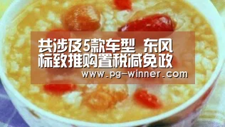 共涉及5款车型 东风标致推购置税减免政策|PG电子(图1) PG棋牌